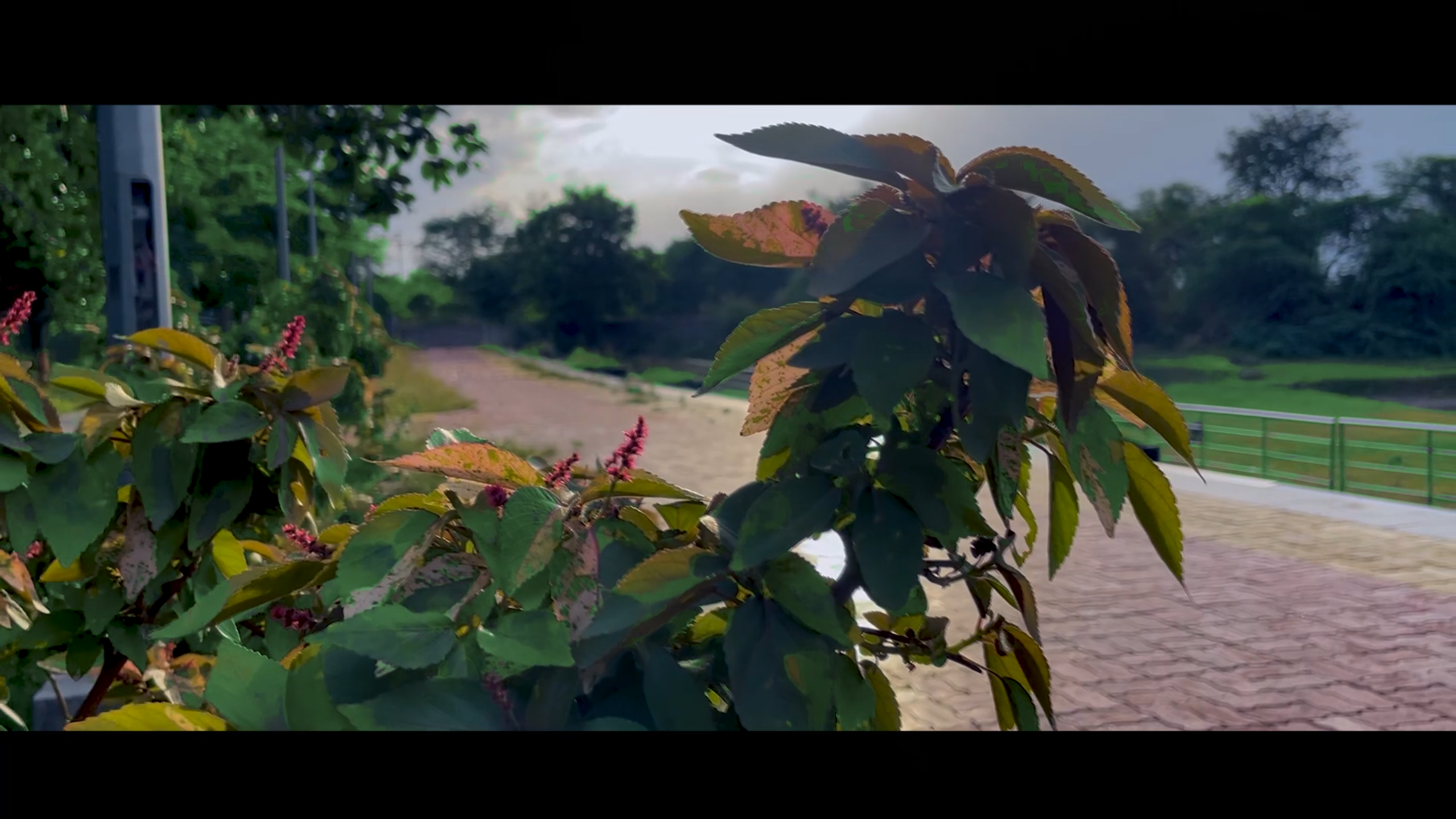 Travel Documentary Thumbnail
